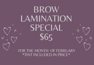 brow lamination special